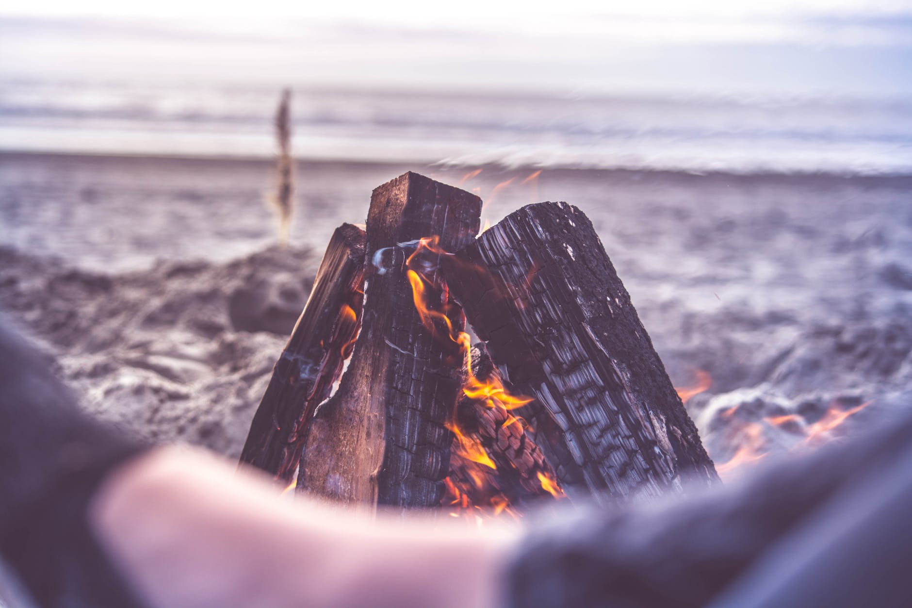 beach bonfire camping close up